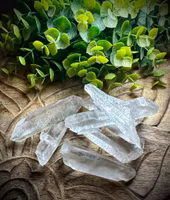 Lemurian Spets