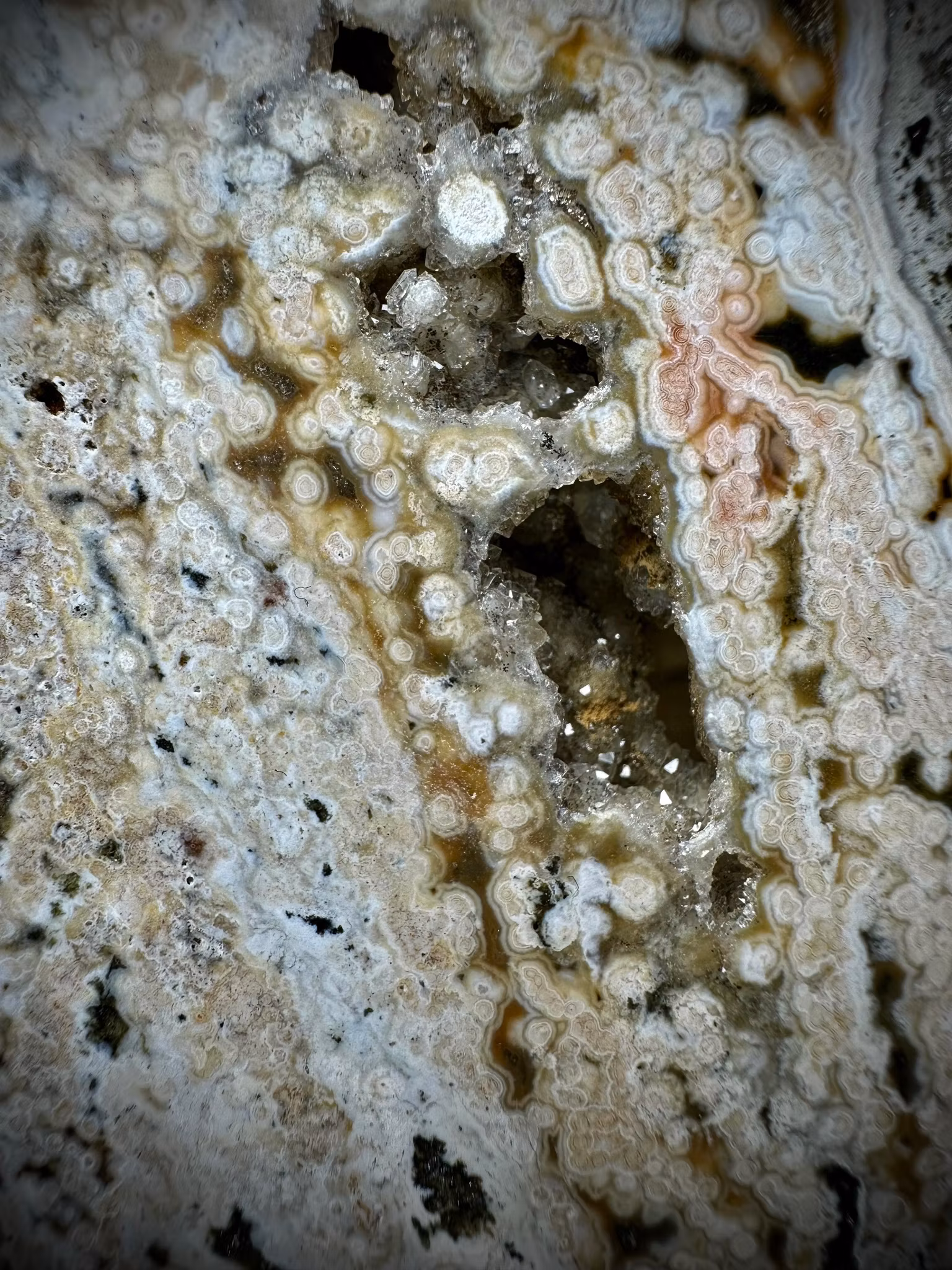 Ocean Jaspis | Orbikulär | 8:de venen