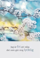 Jag Är Fri Att Välja Det Som Gör Mig Lycklig
