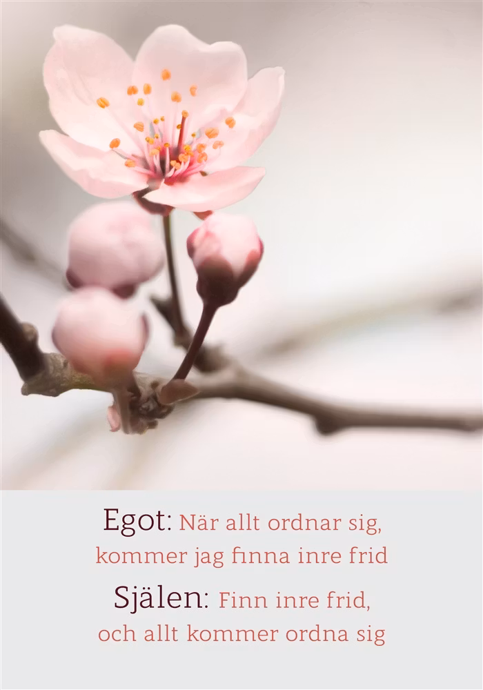 EGOT & SJÄLEN