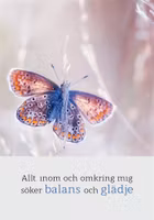 Allt Inom Och Omkring Mig Söker Balans Och Glädje