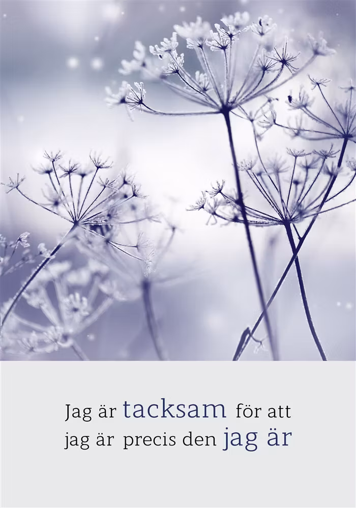 Jag Är Tacksam För Att Jag Är Precis Den Jag Är