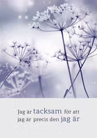 Jag Är Tacksam För Att Jag Är Precis Den Jag Är
