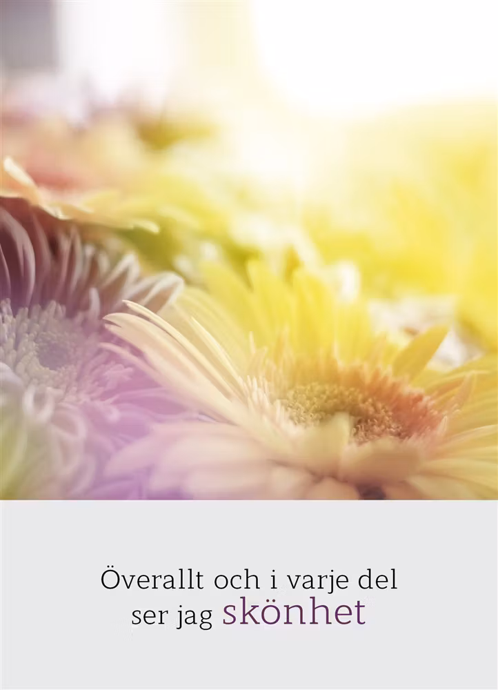 Överallt Och I Varje Del Ser Jag Skönhet