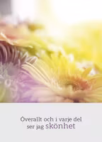 Överallt Och I Varje Del Ser Jag Skönhet