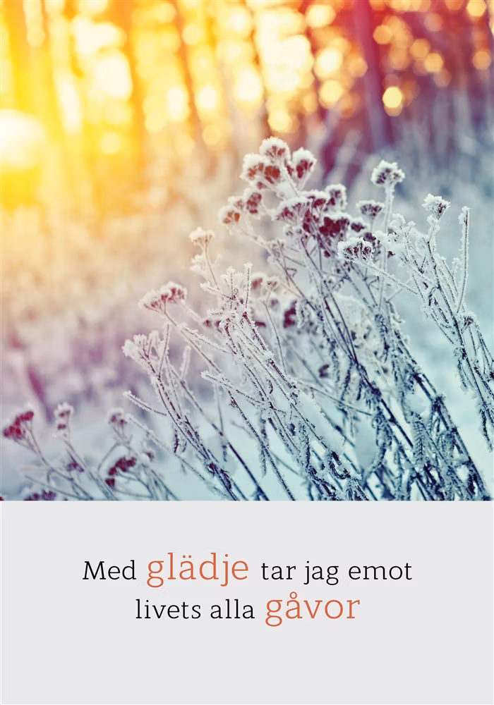 Med Glädje Tar Jag Emot Livets Alla Gåvor