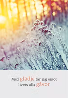 Med Glädje Tar Jag Emot Livets Alla Gåvor