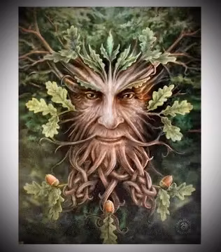 Anne Stokes Canvastavla ”Oak King”