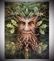 Anne Stokes Canvastavla ”Oak King”