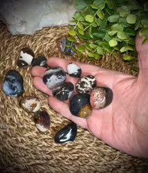 Svart Sardonyx