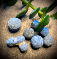 Azurite Blueberries