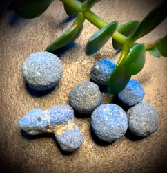 Azurite Blueberries