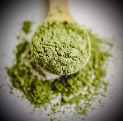 Japansk Ekologisk Ceremoniell Matcha | 1st Grade 50g