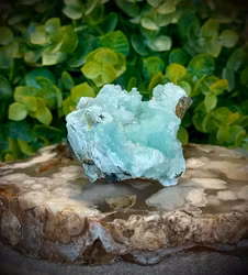 Kinesisk Larimar | Hemimorfit Kluster