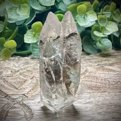 Lybiskt Ökenglas Tvilling