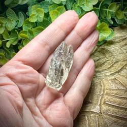 Lybiskt Ökenglas Tvilling