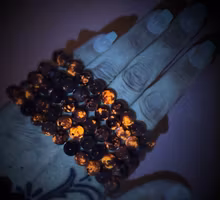Yopperlite Armband | 8-9 mm
