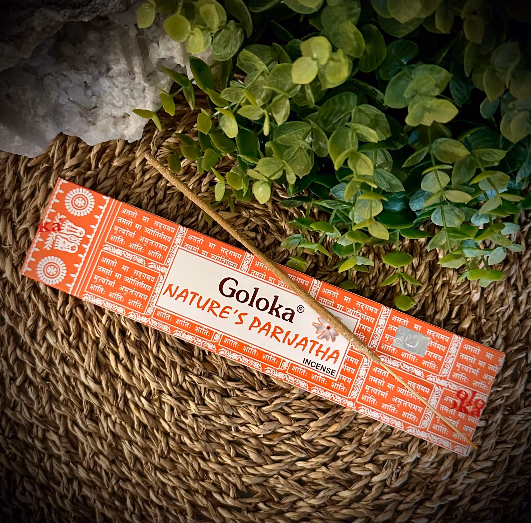 Goloka | Nature's Parijatha