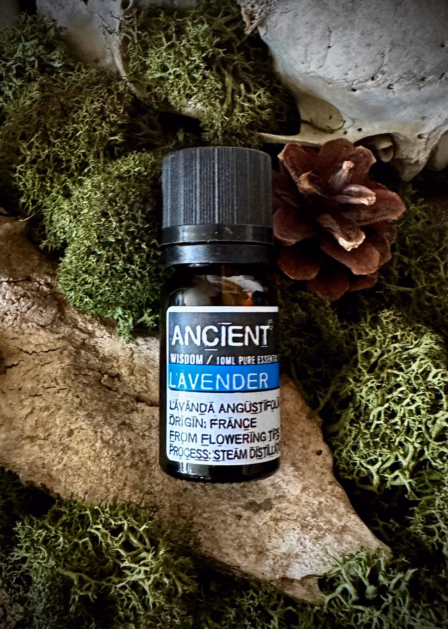 Eterisk olja | Lavendel