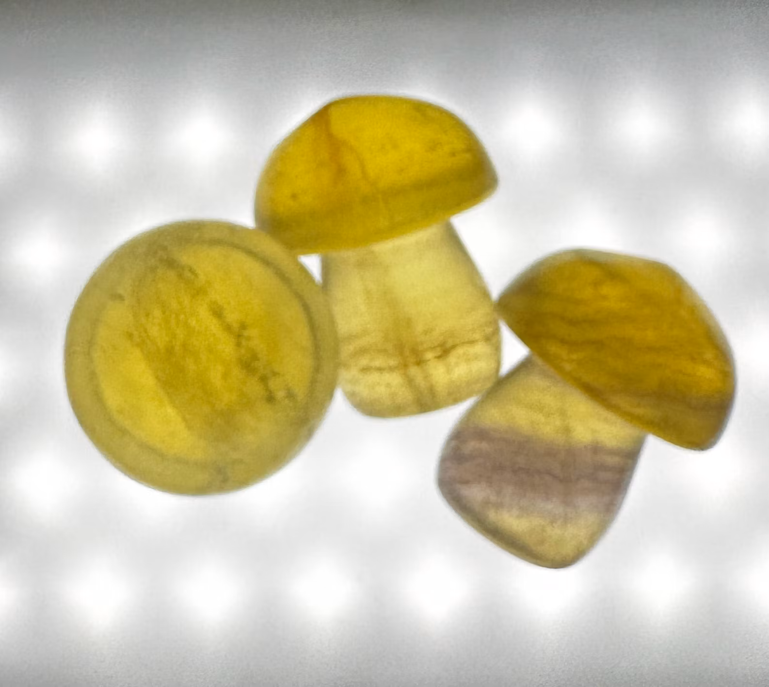 Fluorit Svamp