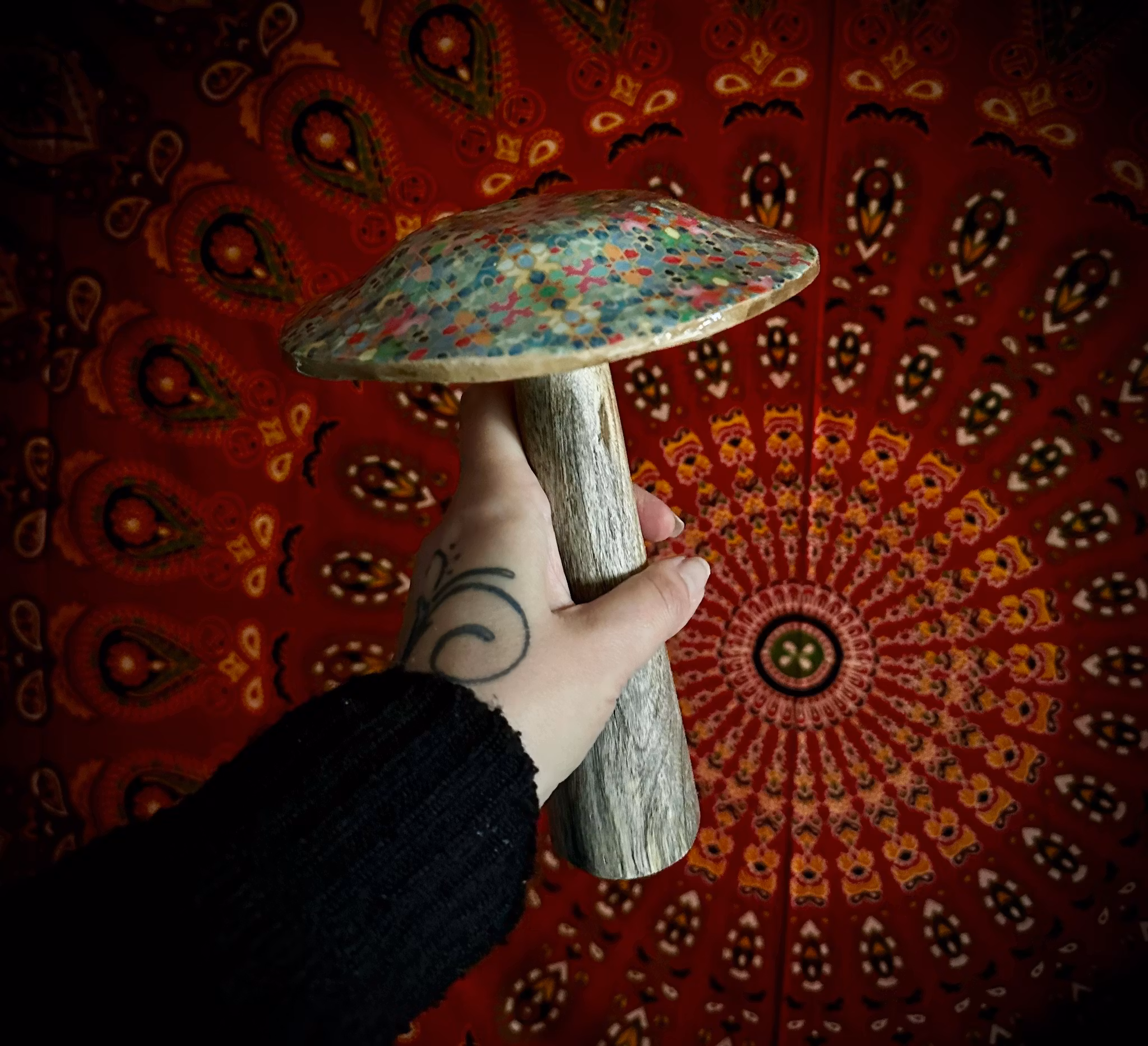 XL Svamp | Indien | 20 cm