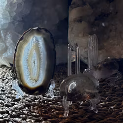 Ställning | Display