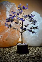 Kristallträd Ametist | Indien 18 cm