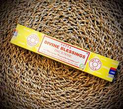 SATYA Rökelsepinnar | Divine Blessings