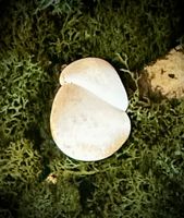 Fairy Stone | Älvsten