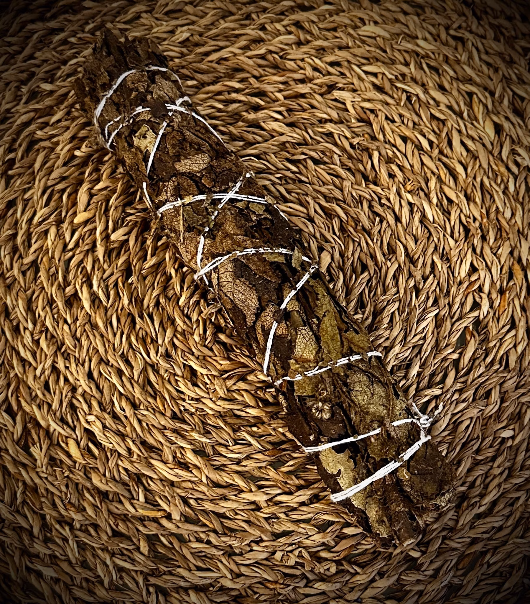 Smudge stick BLACK SAGE 22 cm ECO