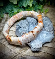 Agatiserad Fossil Korall Armband