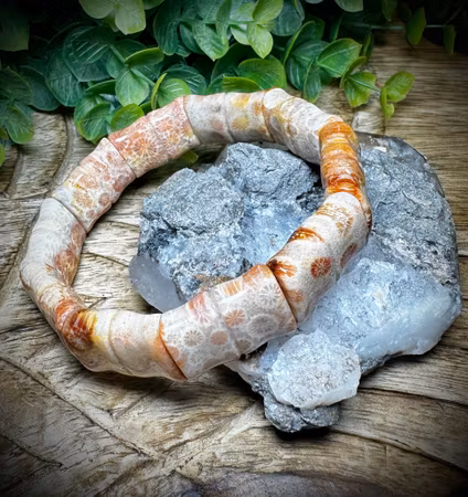 Agatiserad Fossil Korall Armband