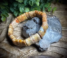 Agatiserad Fossil Korall Armband