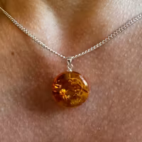 Fossil Bärnsten Hänge 925 Sterling Silver