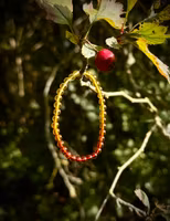 Ombré Bärnsten Armband