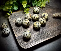 Dalmatinerjaspis Miniklot