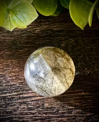 Dendritisk Kvarts med Asterism Klot | 16 mm