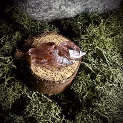 Elestial Scepter Ametist | Brandberg