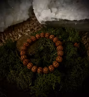 Polerad Rudraksha | Mala Armband | Nepal