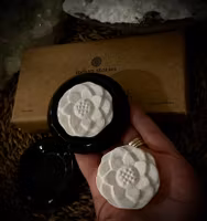 Aromasten LOTUS | Svart