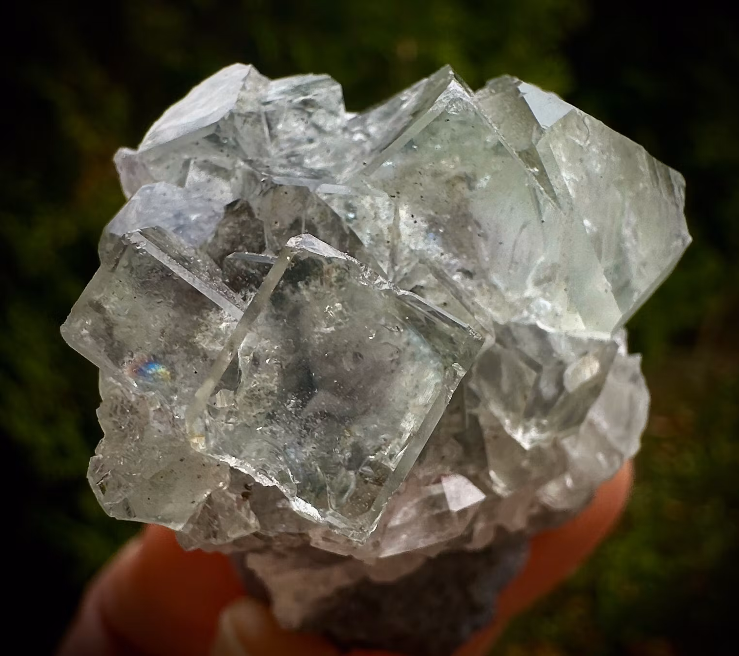Kubisk Grön Fluorit på Matrix | Zhejiang