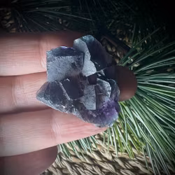 Kubisk Svart Fluorit | Inre Mongoliet