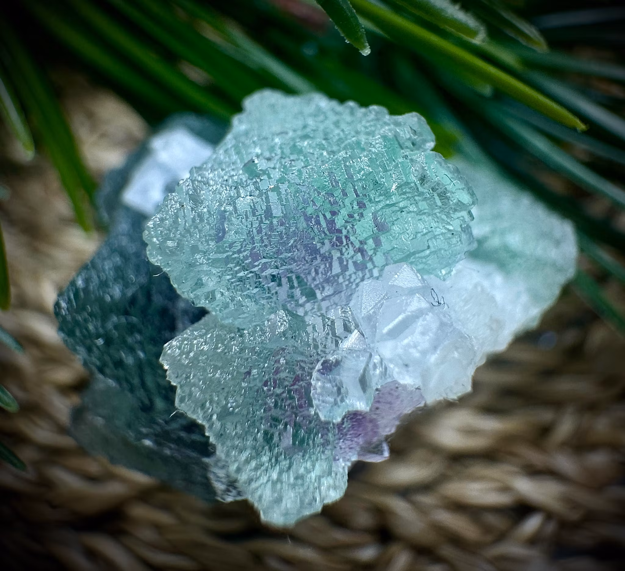 Kubisk Fluorit | Heilongjiang