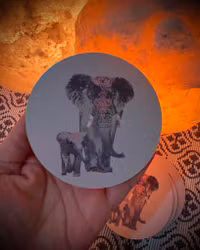 Glasunderlägg Elefant 6 st