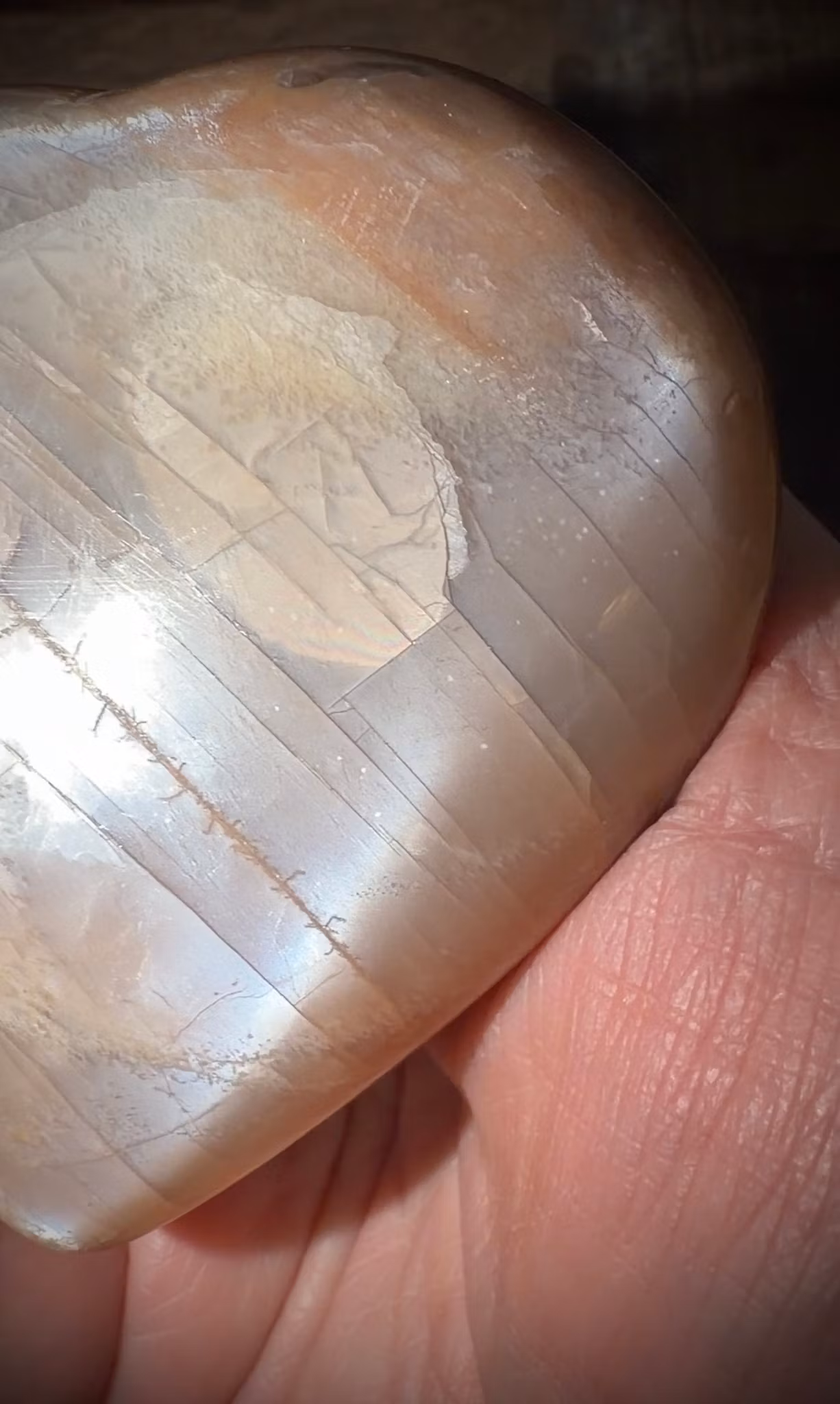 Persiko Månsten Hjärta