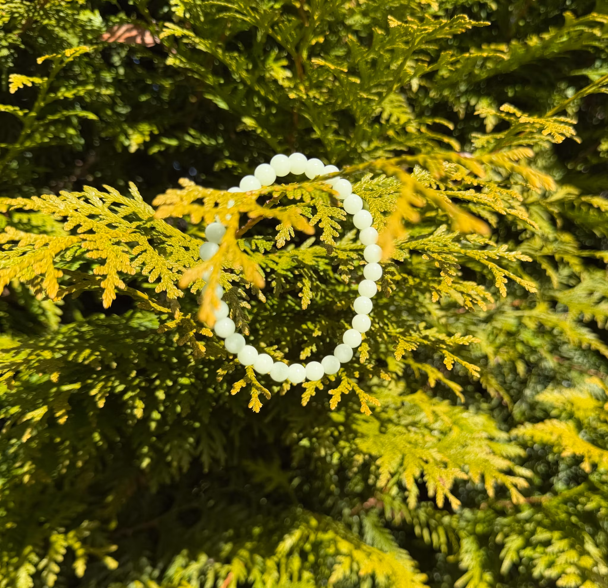 Glow In The Dark Armband | 6 mm