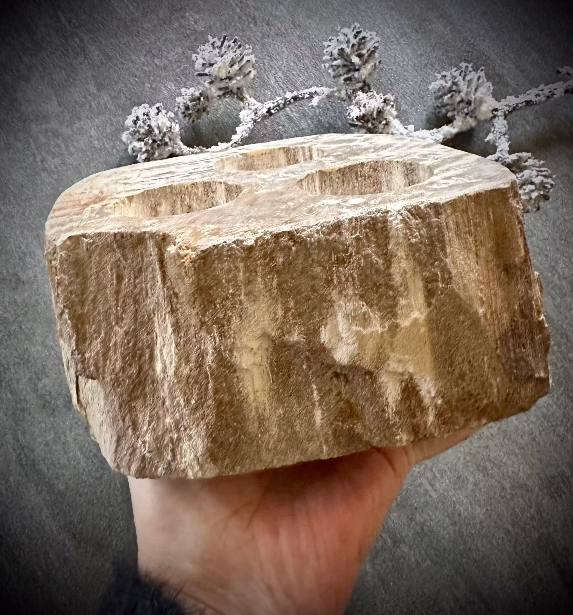 Förtrollande Ljuslykta i Förstenat Trä 2,8 kg