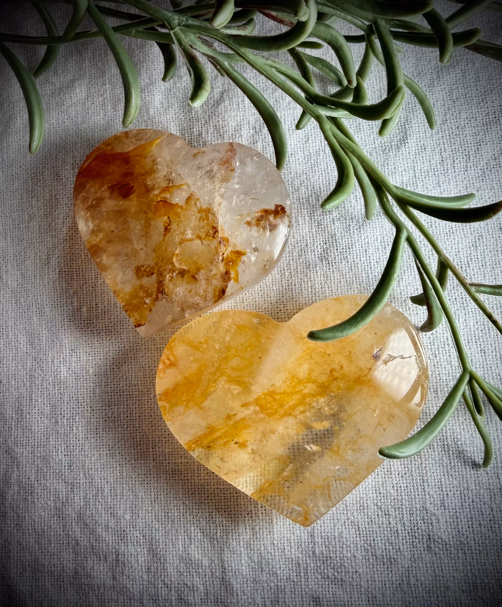 Golden Healer Hjärta