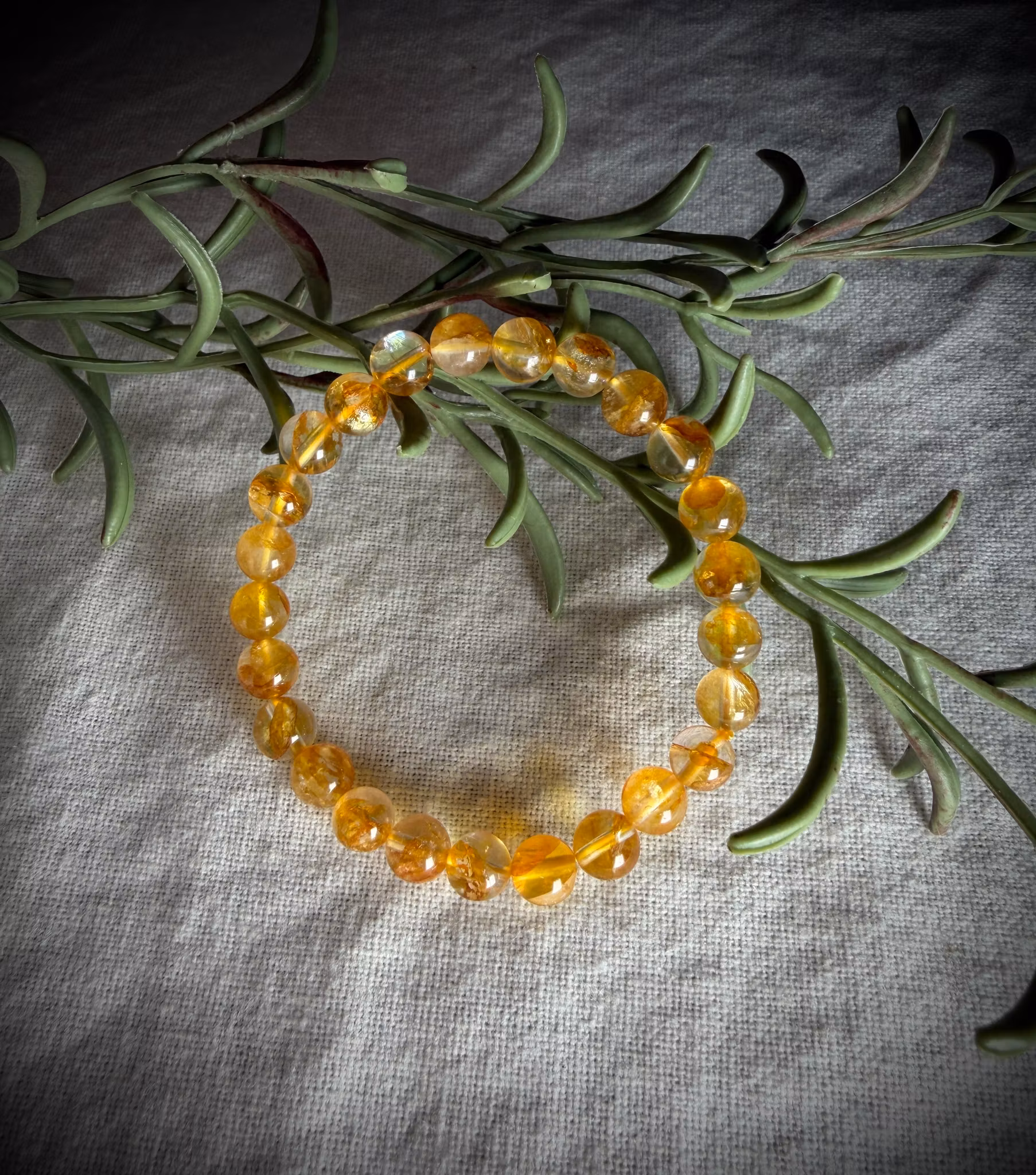 Golden Healer Armband | 8 mm HK