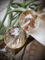 Dendritisk Kvarts Armband | 12 mm